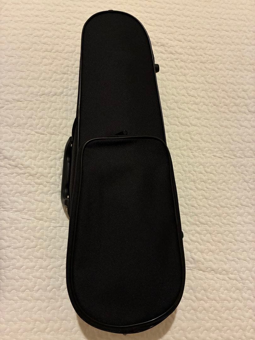 バイオリン 1/10サイズ カルロジョルダーノ【7点セット】