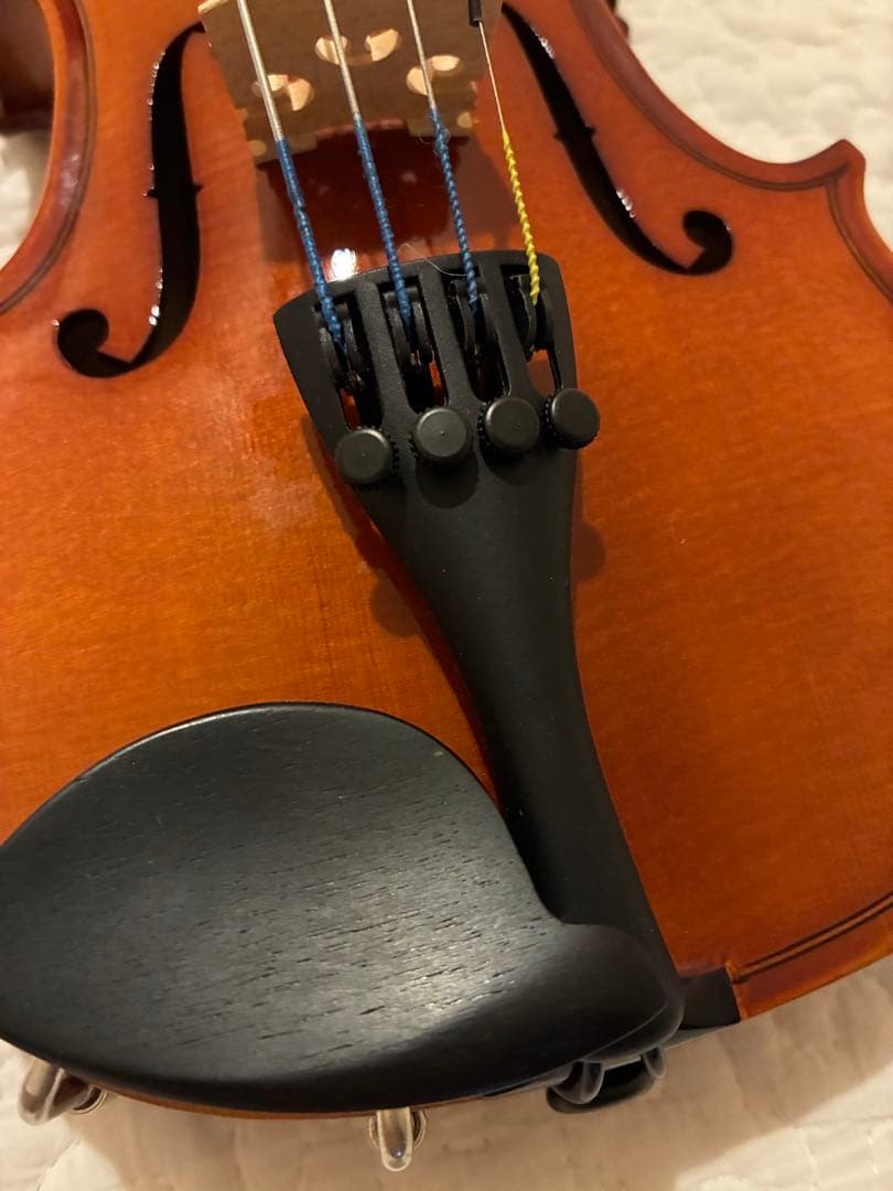 バイオリン 1/10サイズ カルロジョルダーノ【7点セット】