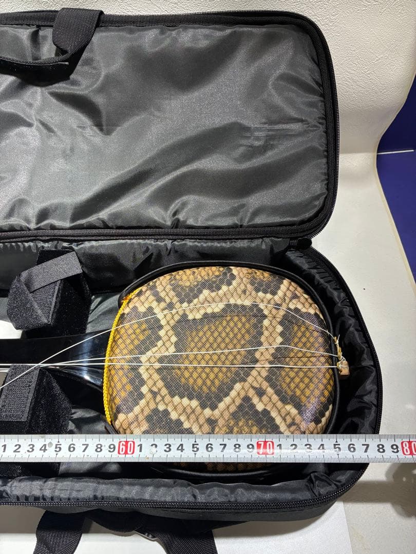 G）沖縄 民謡楽器 和楽器 三線 人工蛇皮 専用ケース付き 三線用つめ付き