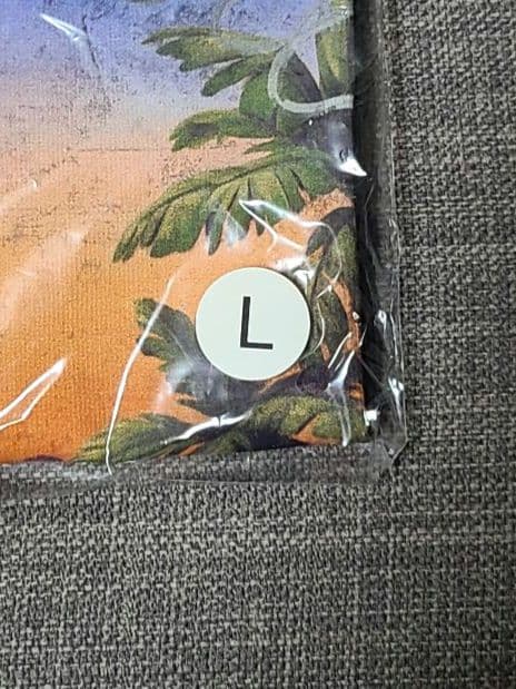 【新品未使用】藤井風 日産スタジアム Feelin'Good Tシャツ 黒 L