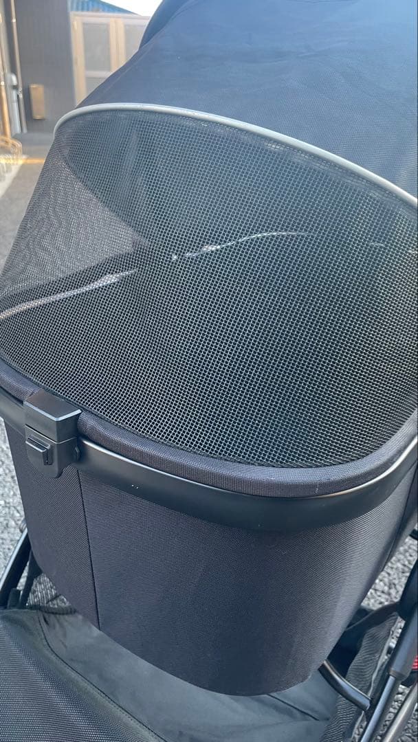 【海外限定カラー】ピッコロカーネ カリーノ3 定価60,500円　オールブラック