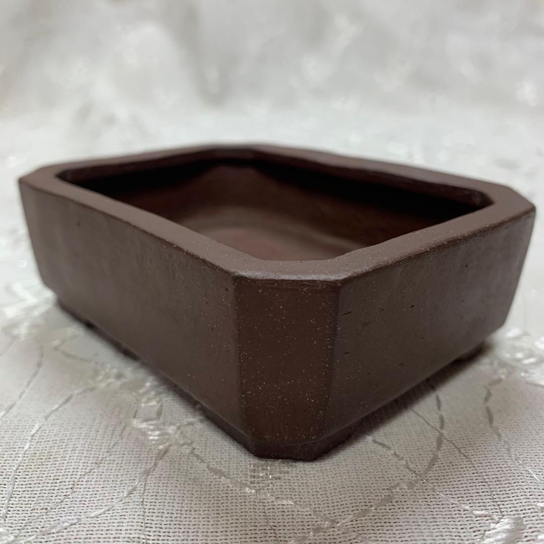 在位五拾周年記念鉢　長方　盆栽鉢