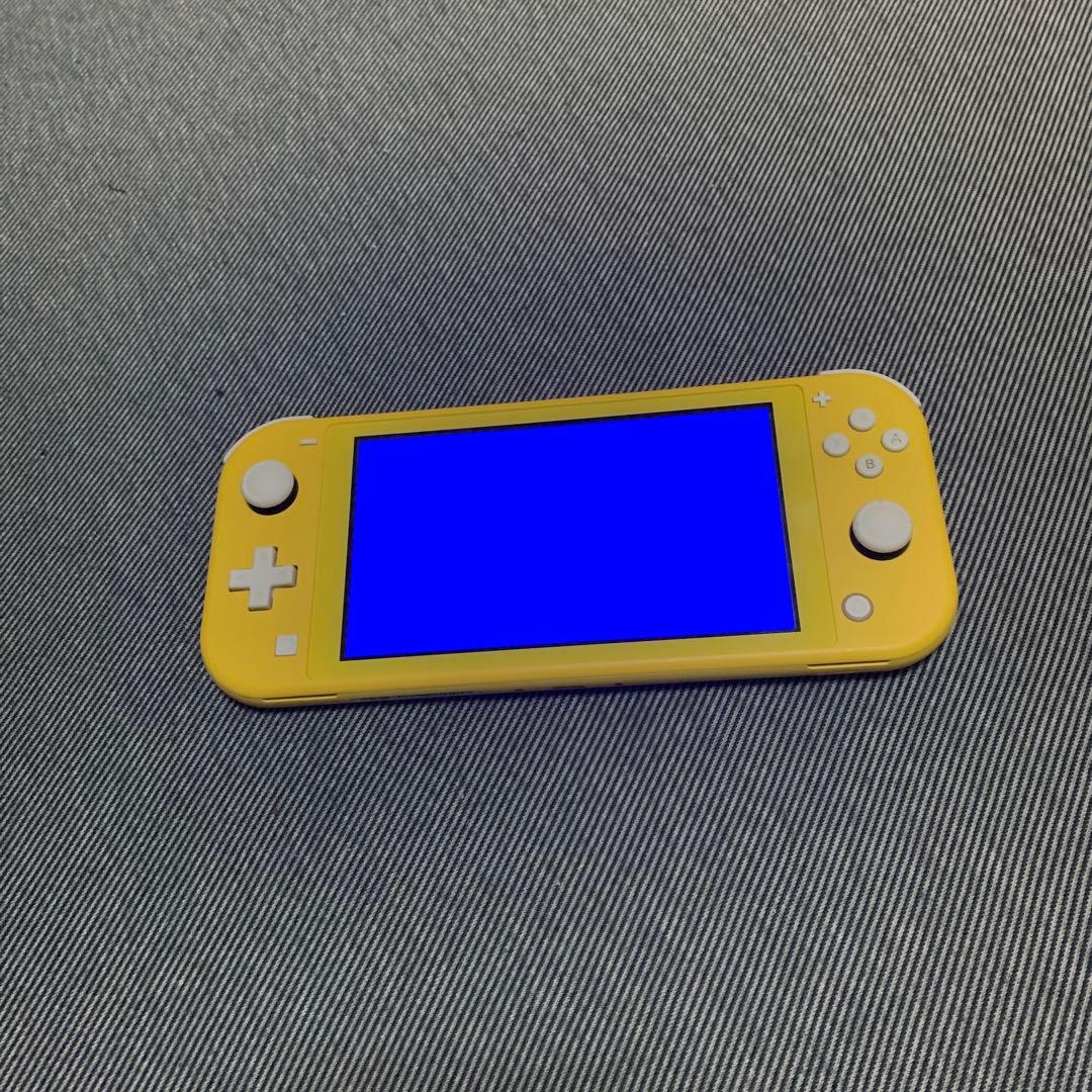 任天堂スイッチ　ライト　ジャンク