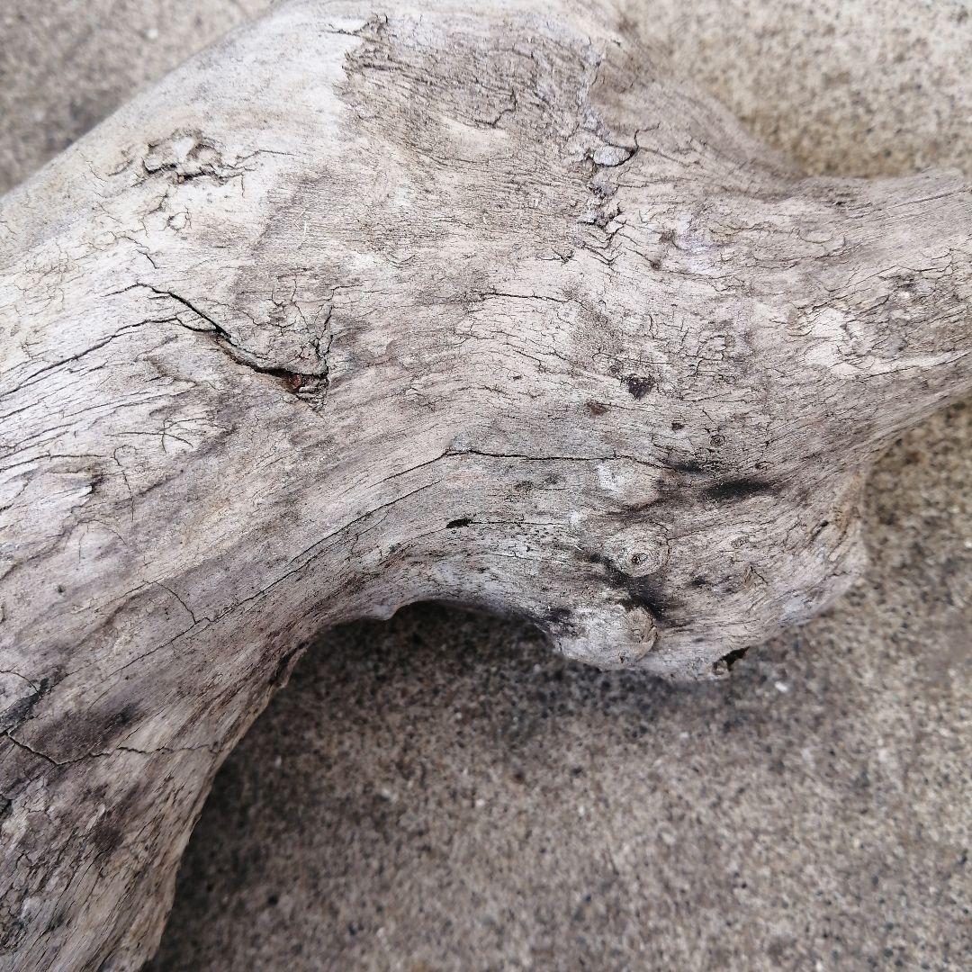 流木風【きこり】2点セット。大きい 自然な風合い