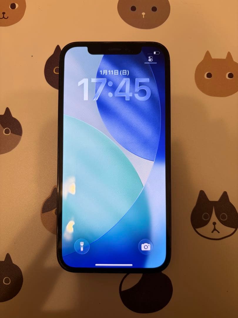 【香港版】iPhone 12 Pro 256GB パシフィックブルー