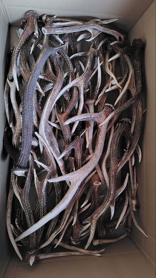 【クラフト】鹿の角 59本 約18.5kg 複数セット おまとめ お得