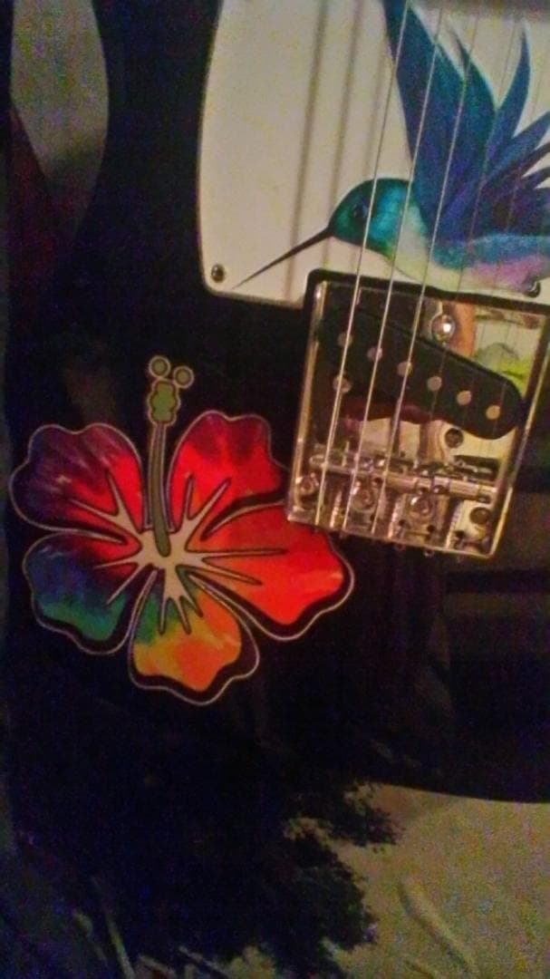 ハワイアン柄インレイ　ハチドリ　ハイビスカス　ギター期間限定新春特価