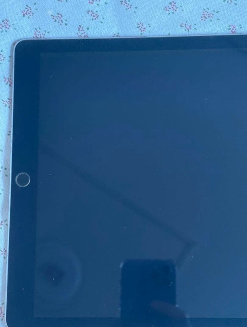 iPad Pro 12.9 (第一世代) 128GB WiFi + セルラー