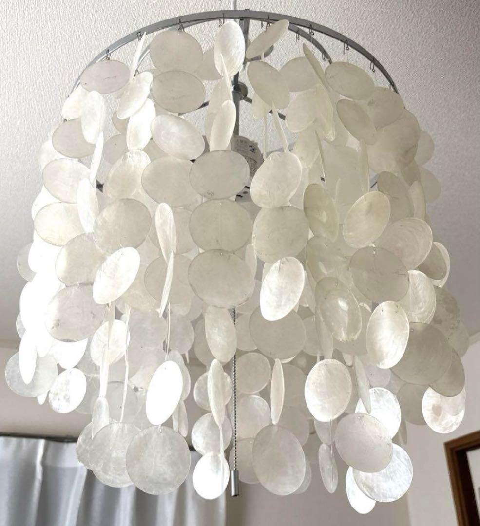 値下げ　ハモサ　カマクラ hamosa 貝殻　シェル照明　ライト