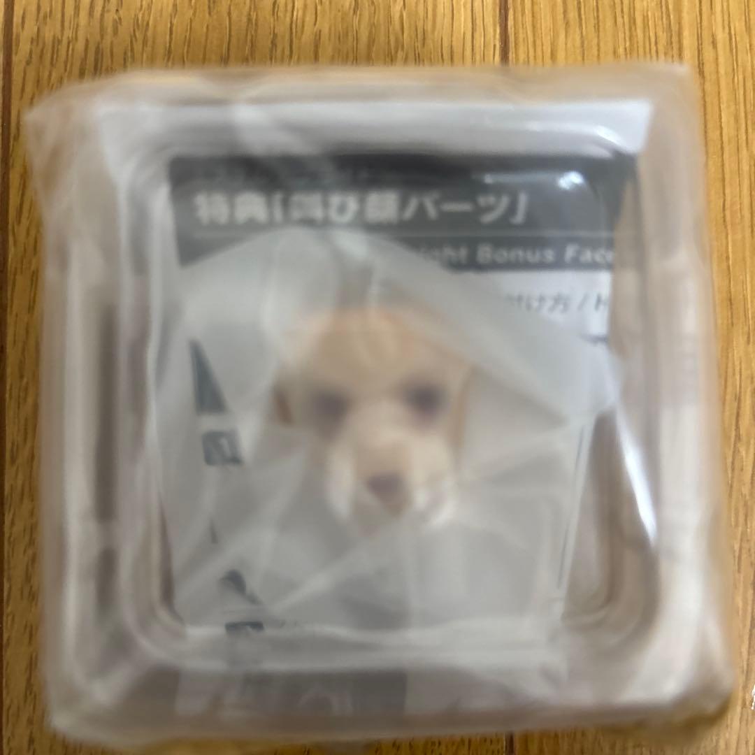 空の軌跡 エステル・ブライト 1/8フィギュア 叫び顔パーツ付き 【未開封】