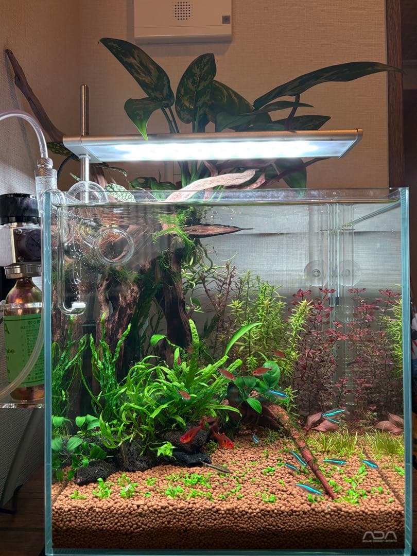 ソルスタンドRGB DOOA/ADA ＊保証書付き