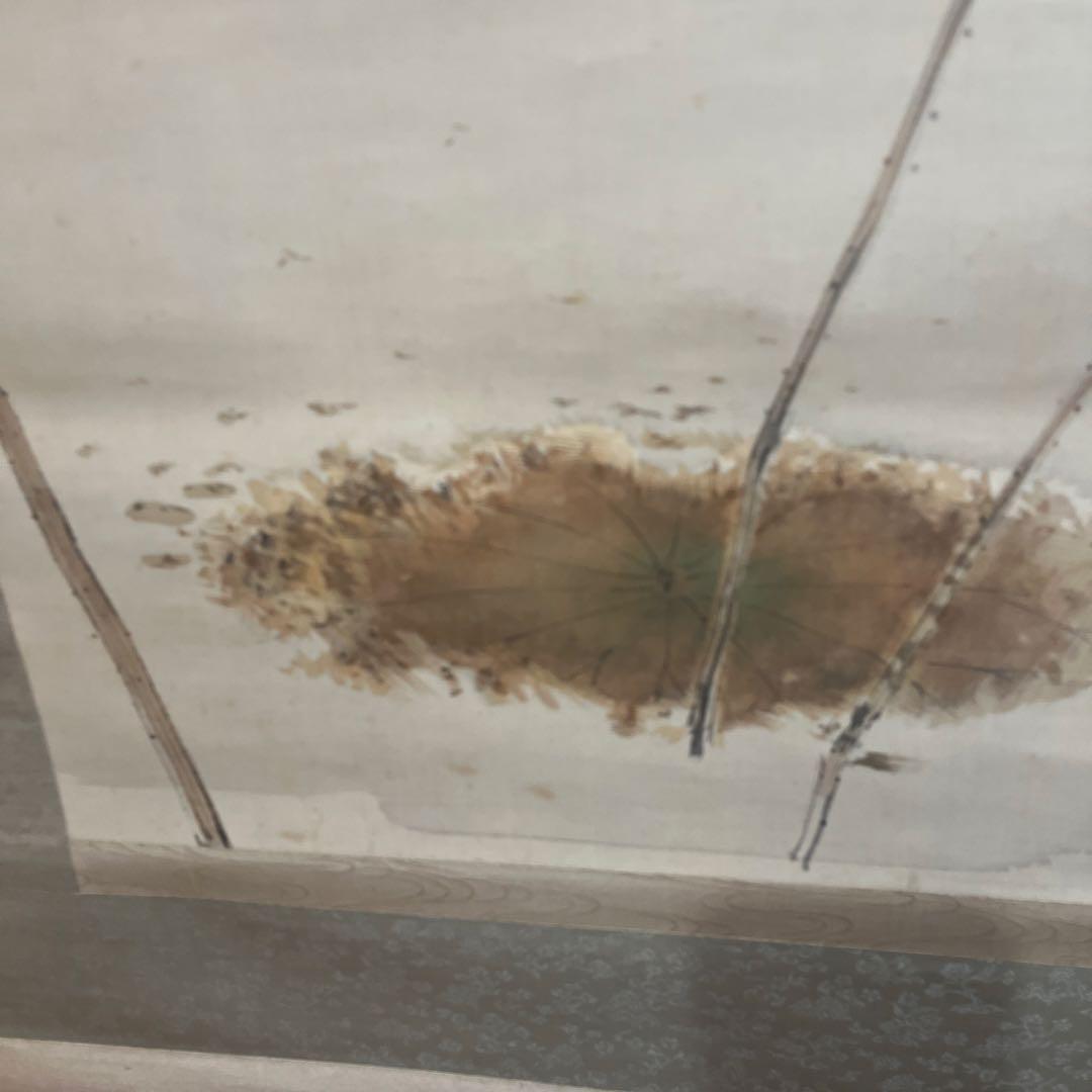 五雲作カワセミ 水墨画 掛軸