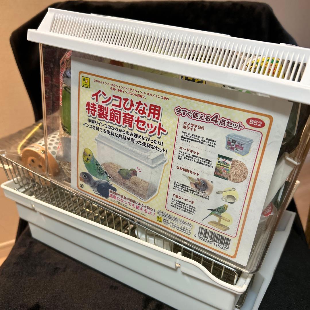 全て揃う‼️ひな~成鳥インコ飼育用まとめ売り✨️