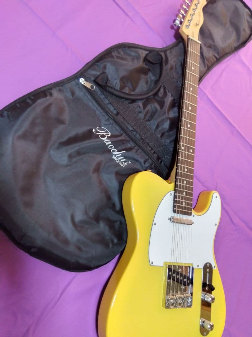 バッカス テレキャスター Universe series