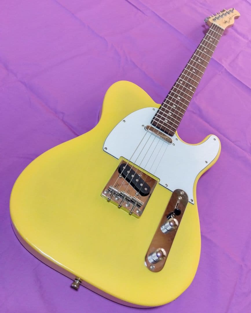 バッカス テレキャスター Universe series