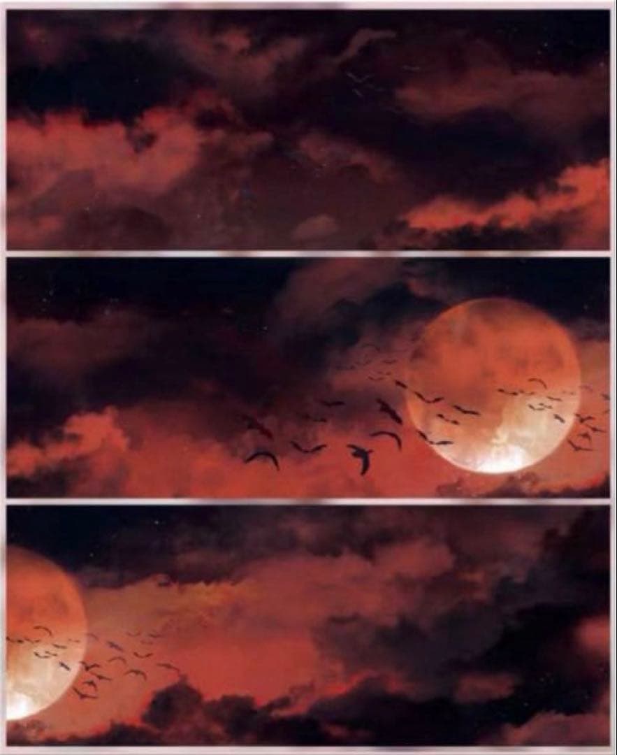 PET 血色月影 5.6cm×5m 35cm/loop 海外マスキングテープ