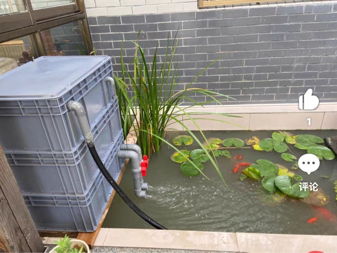 コンパクト小型　水槽池用万能フィルター 外部式飼育濾過器装置25w水中ポンプ付き