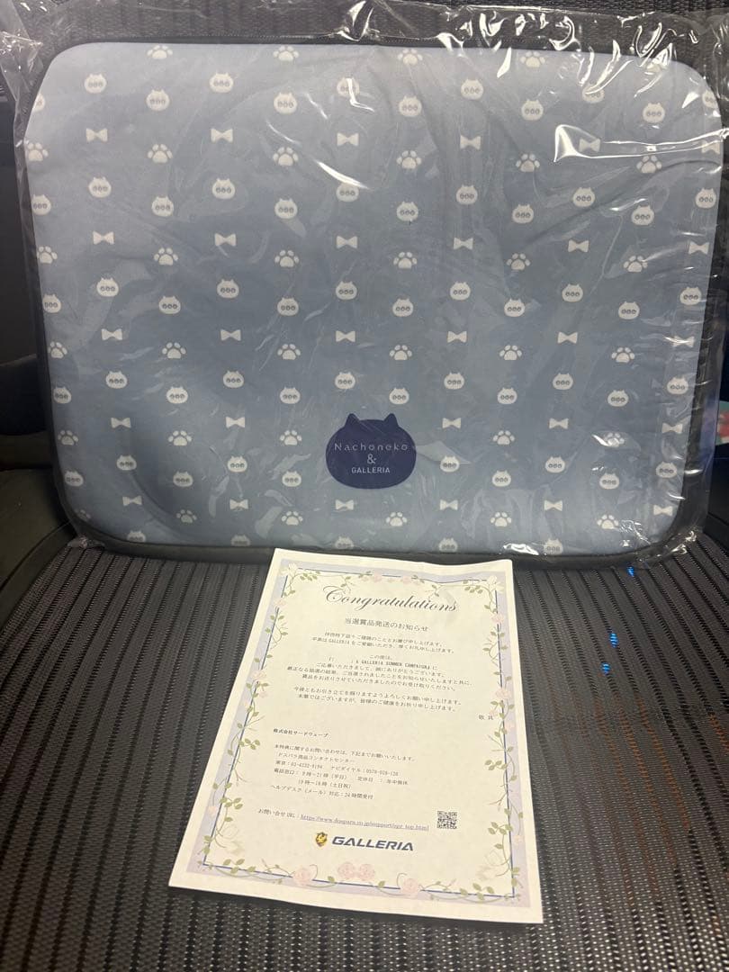 ガレリア×なちょ猫　コラボ　ノートPCケース　甘城なつき　Nachoneko