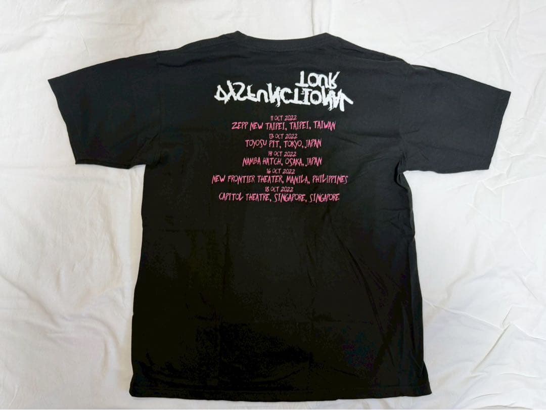 【美品】ANNE-MARIE DYSFUNCTIONAL TOUR Tシャツ