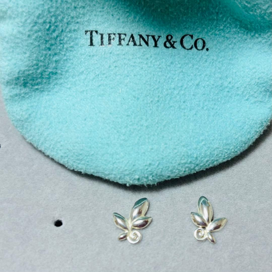ティファニー TIFFANY&Co. シルバー925 ピアス オリーブリーフ