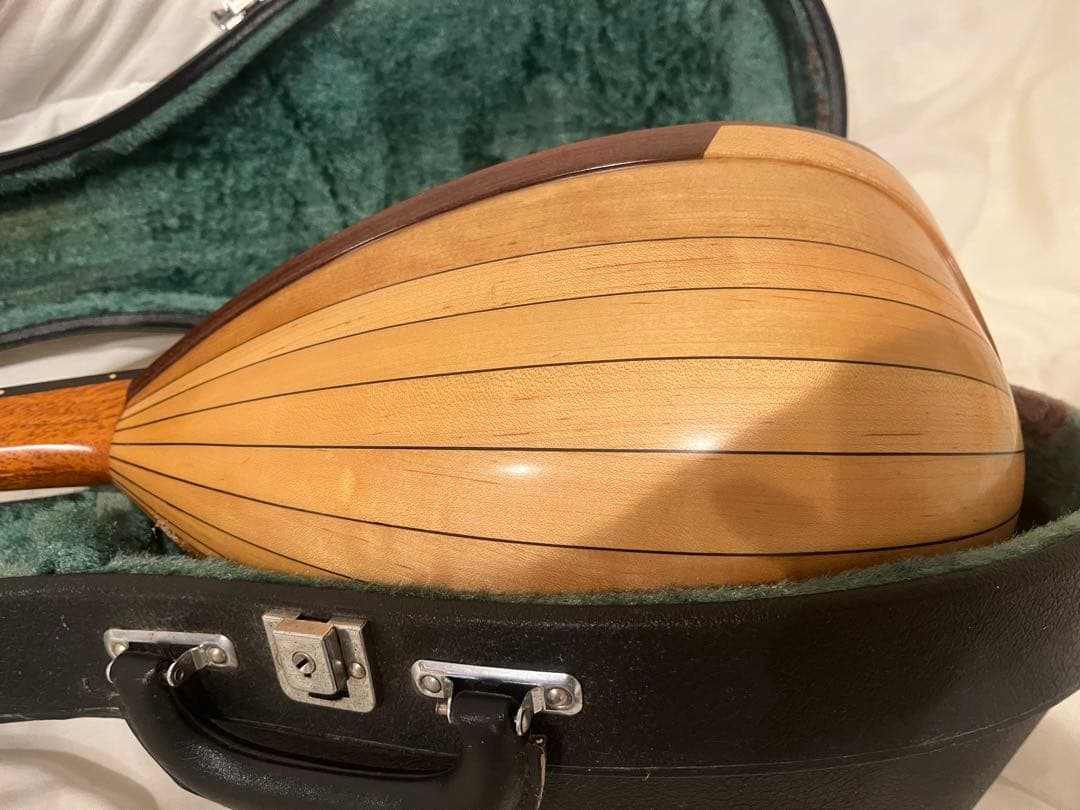 マンドリンと黒いケースセット