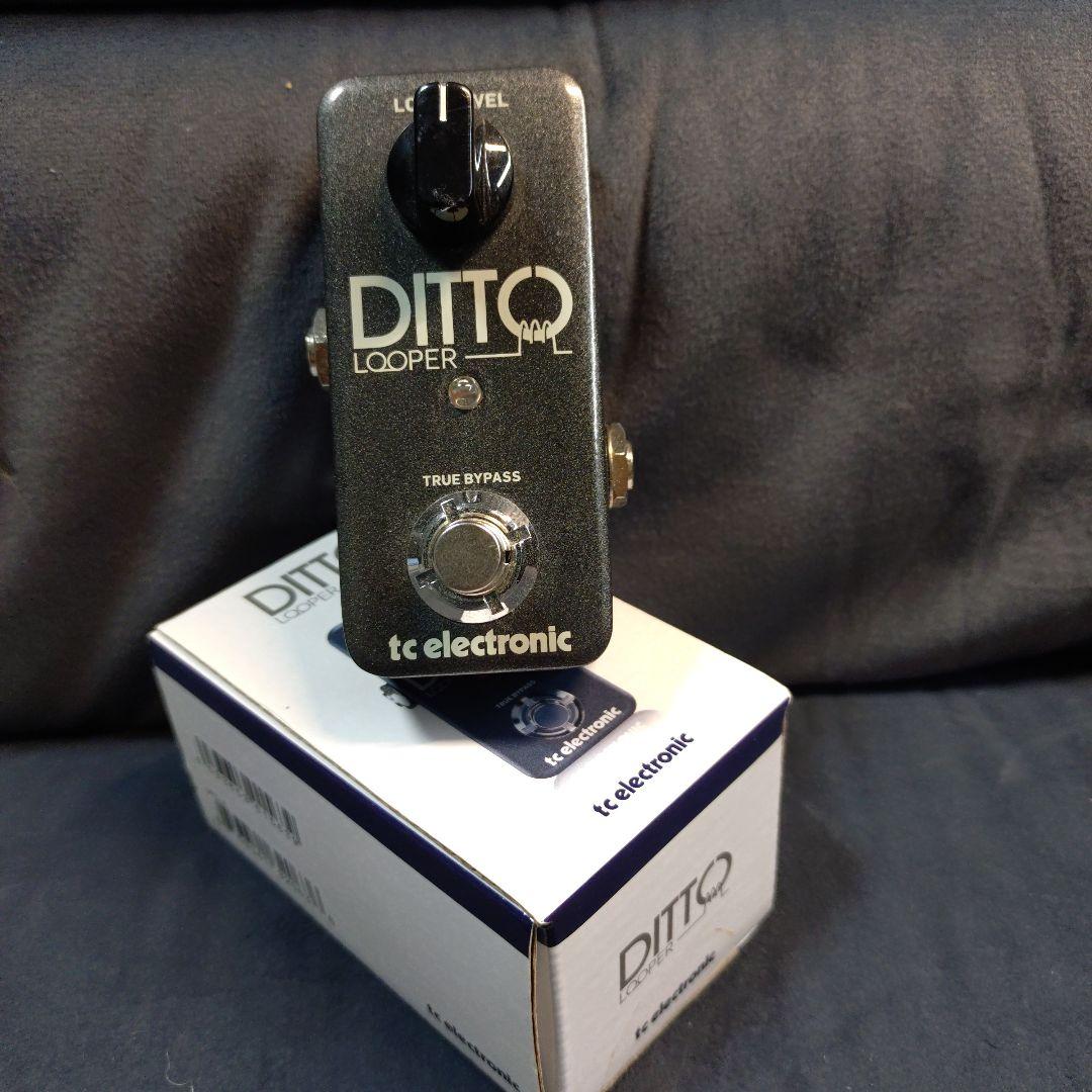 ギター tc electronic DITTO LOOPER