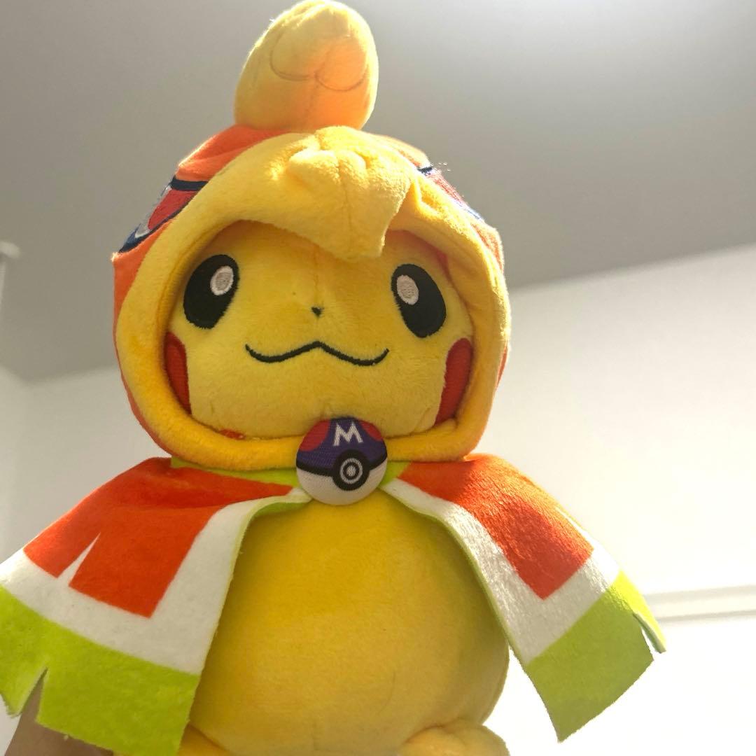 ポンチョを着たピカチュウ　ホウオウ(ダク付けません)