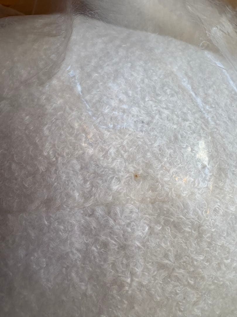 ほしの島のにゃんこ BIGぬいぐるみ 白猫 ネコ コロプラ 星の島　２体セット