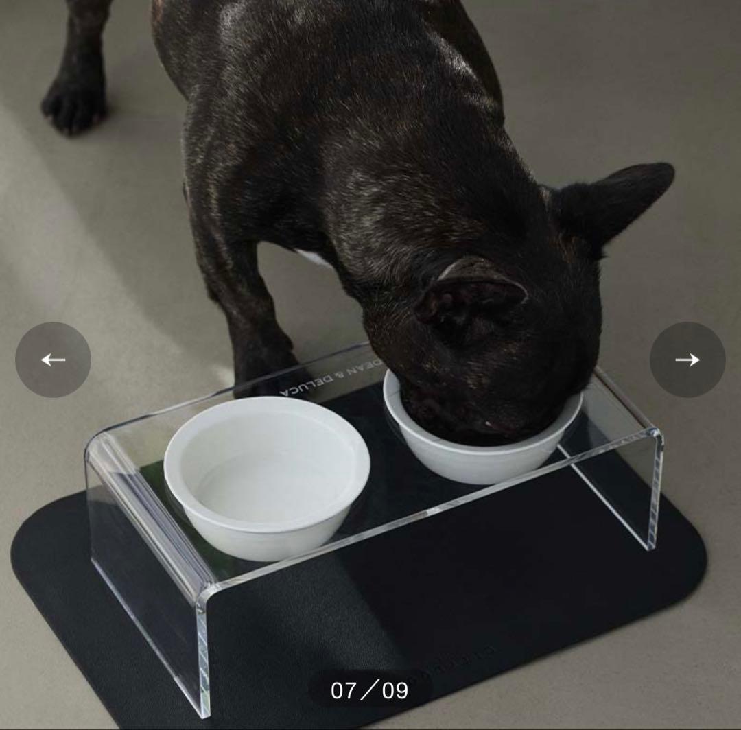 DEAN&DELUCA CITYDOG フードスタンド　新品