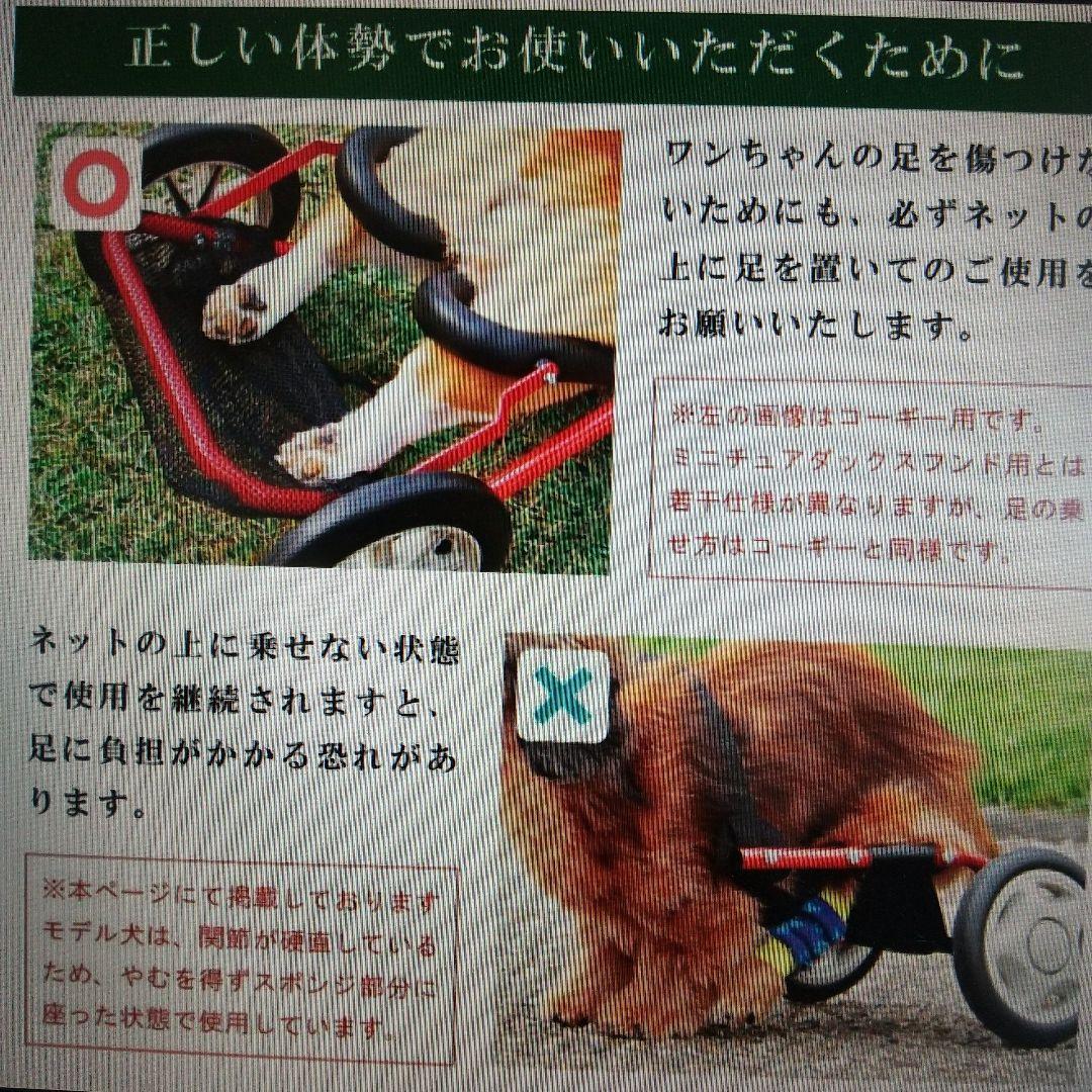 犬　車いす