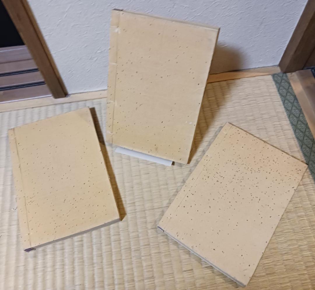 明治期 木版 和本 『足山勝概』 全三冊揃 金鶴堂刊