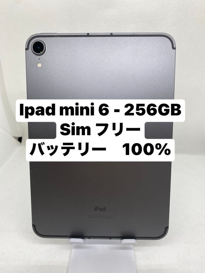 iPad mini 6 256GB SIMフリー07516