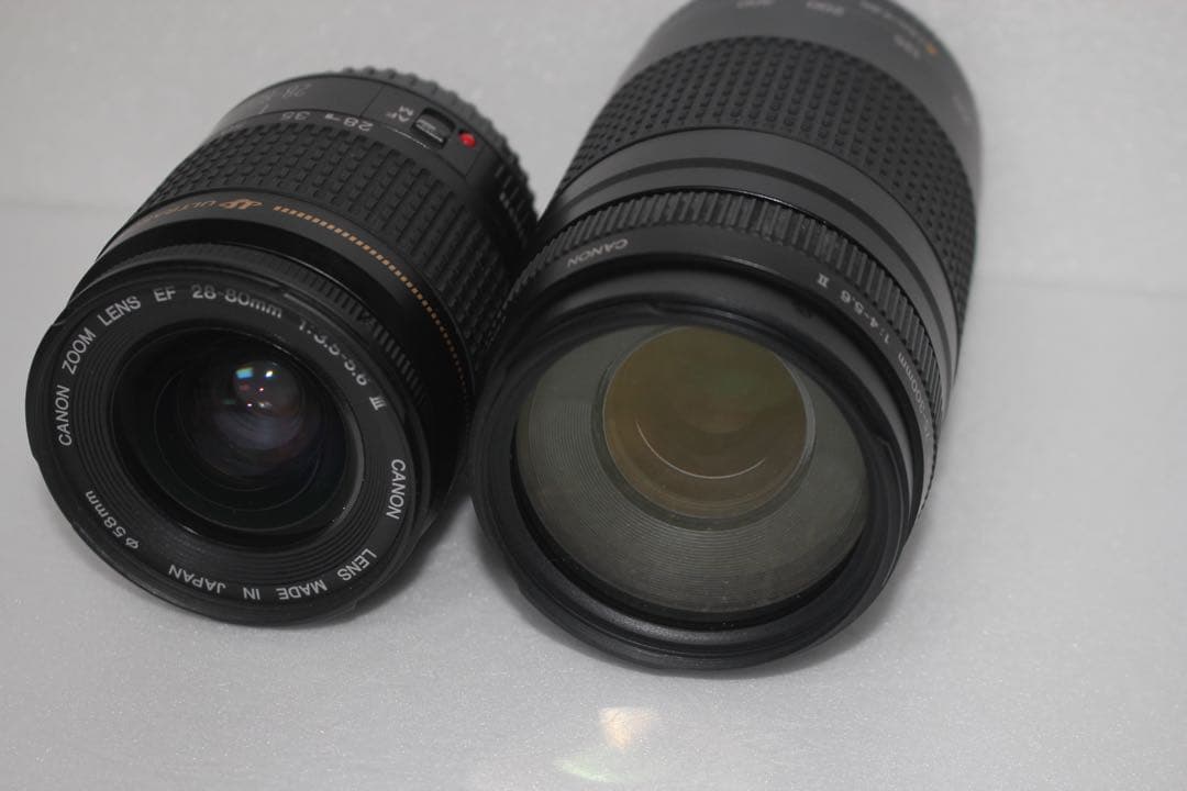 デジタル一眼レフカメラCanon EOS 80D 標準&望遠ダブルレンズセット