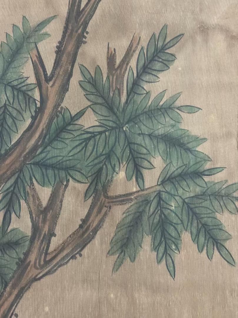 中国古美術 明代 呂紀 手描き掛軸 鳥と木の絵画 絹本 三尺巻き物 書画 中堂画