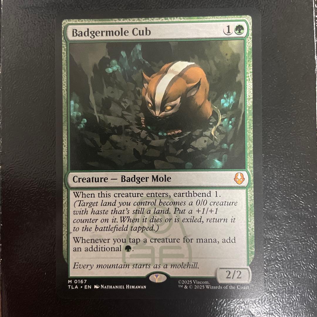 アナグマモグラの子 英語 1枚