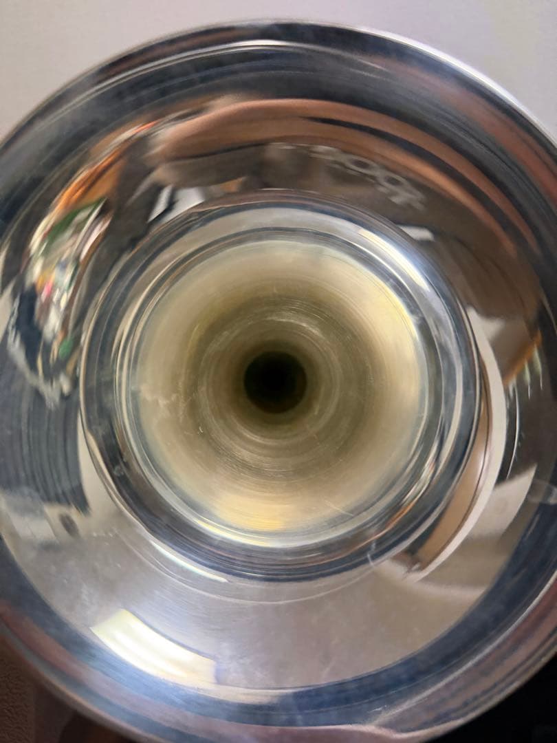 Behning & Sons バストランペット 本体 ケース付き