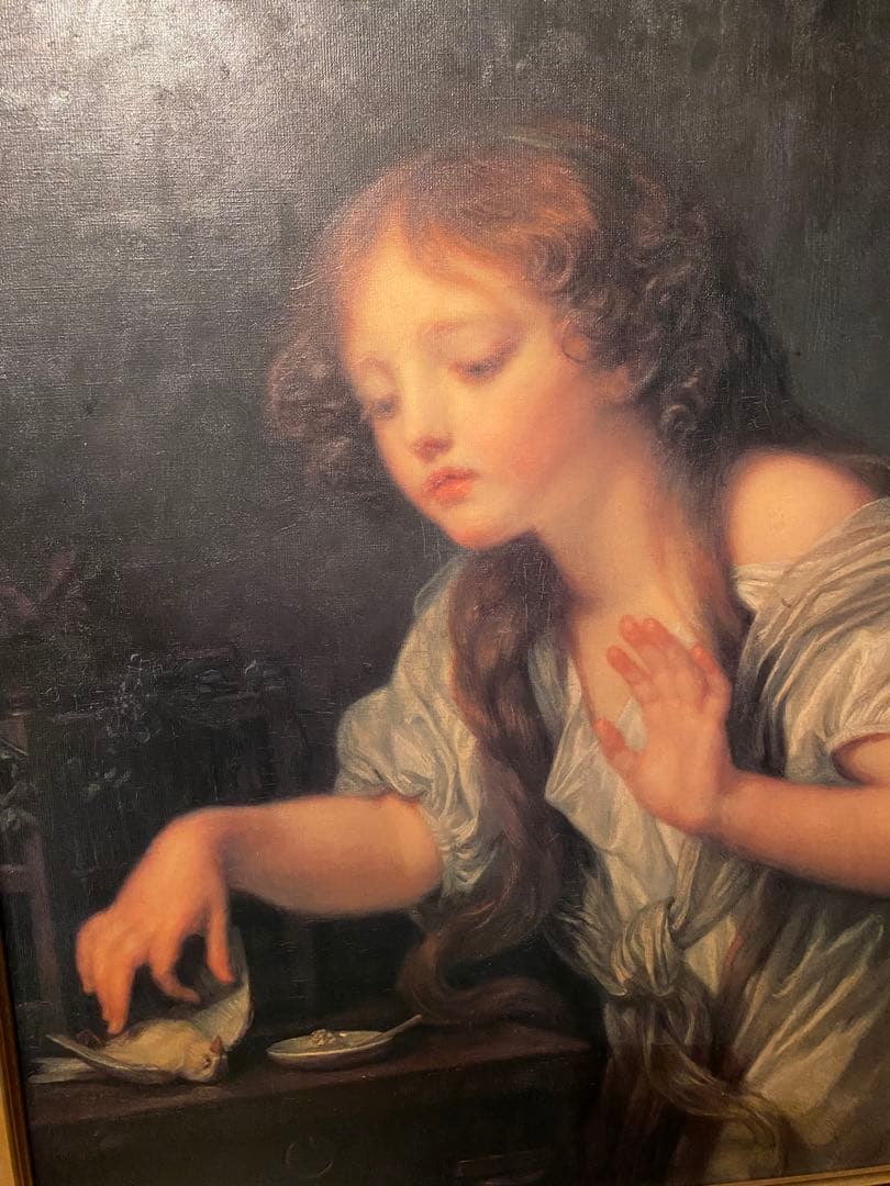 死んだ鳥　肖像画　絵画