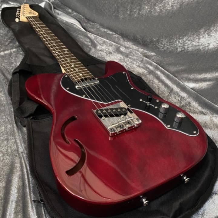 美品 限定生産モデル 美品 Schecter OL-PT-TH セミホロウ