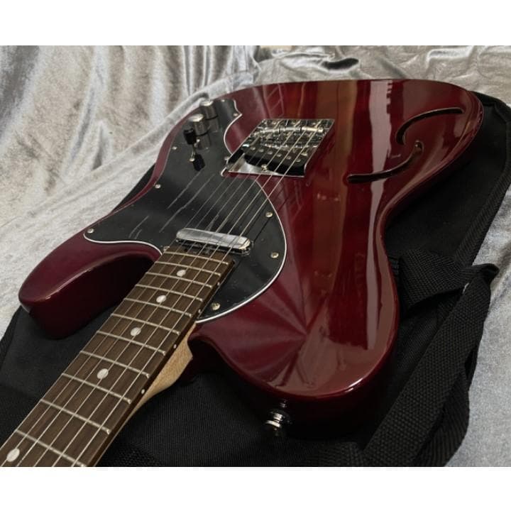 美品 限定生産モデル 美品 Schecter OL-PT-TH セミホロウ