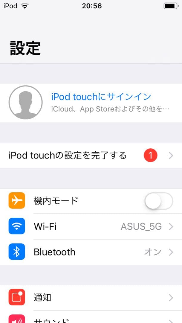 iPod Touch 第6世代128GB グレー