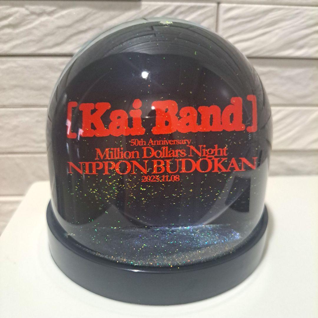 甲斐バンド　スノードーム　コンサートVIP特典