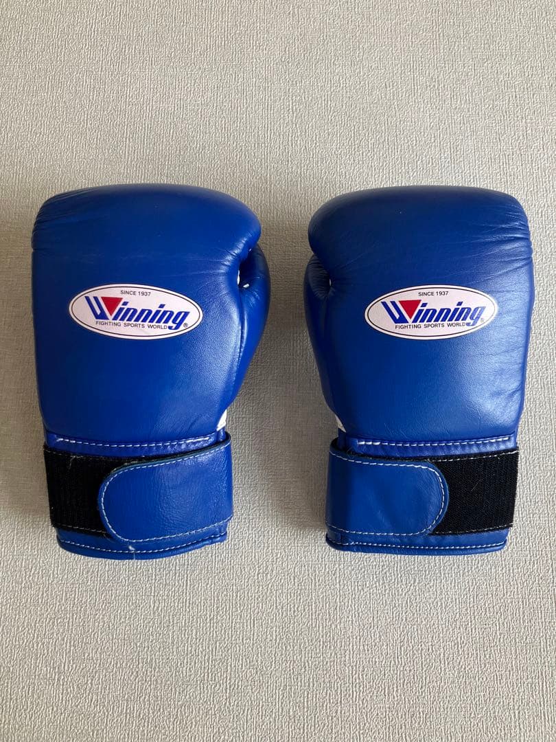 sさま専用　winningグローブ4点