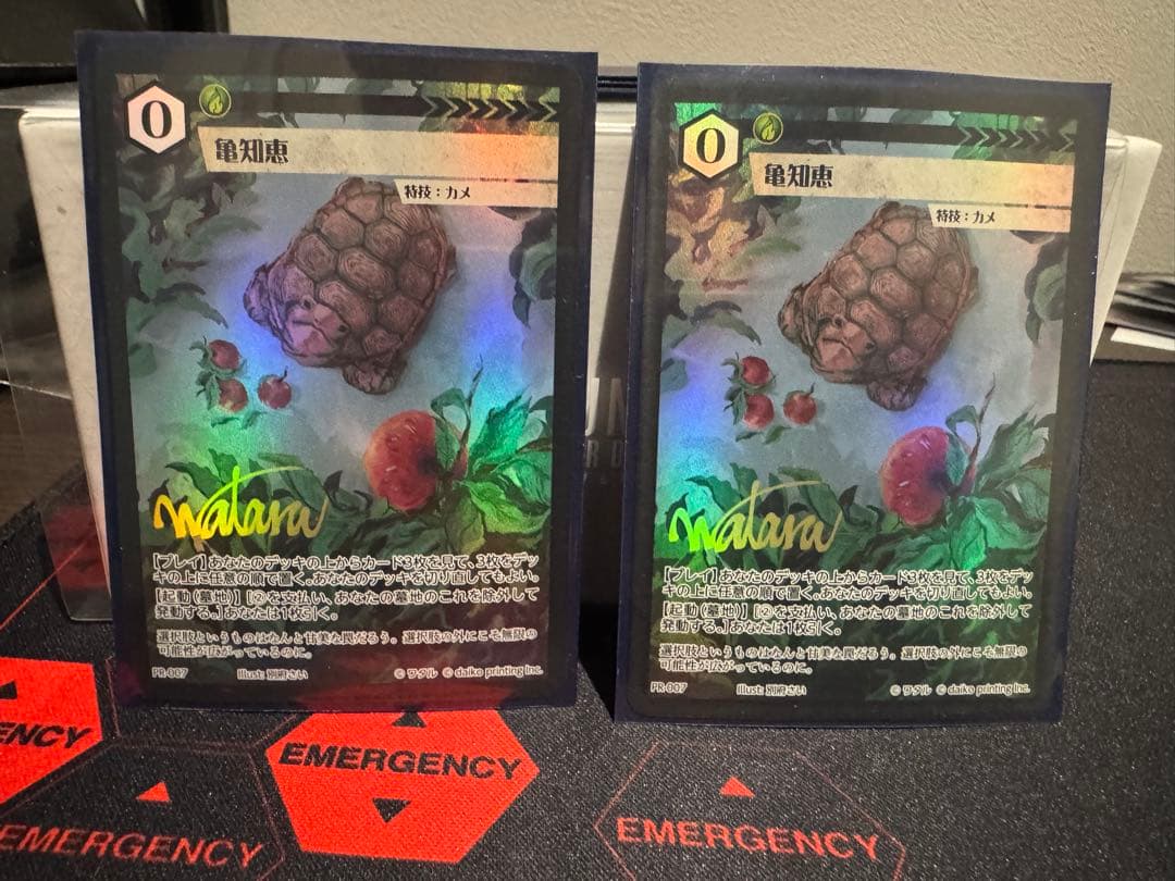 アニマルカードゲーム　ドローソースセット