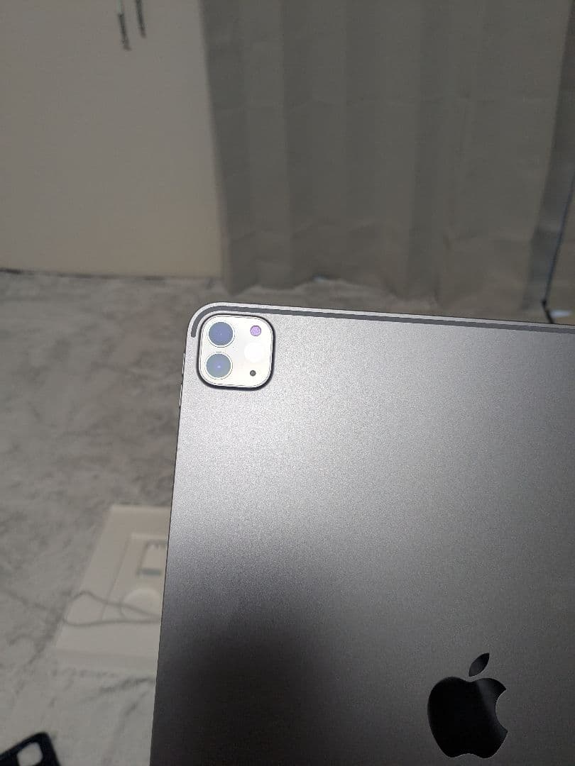 【専用】第6世代Apple iPad Pro12.9 256GB+ApplePe