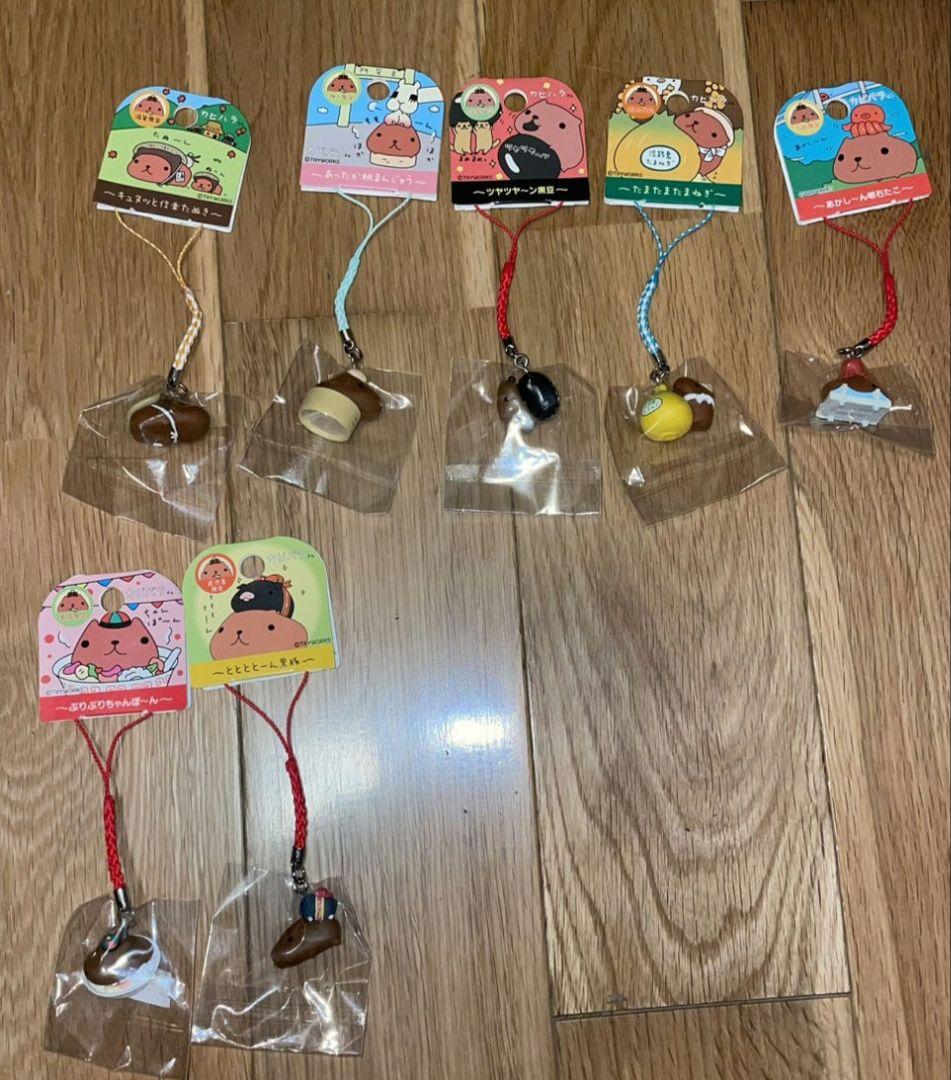 カピバラさん　ご当地限定ストラップ27種セット　29個