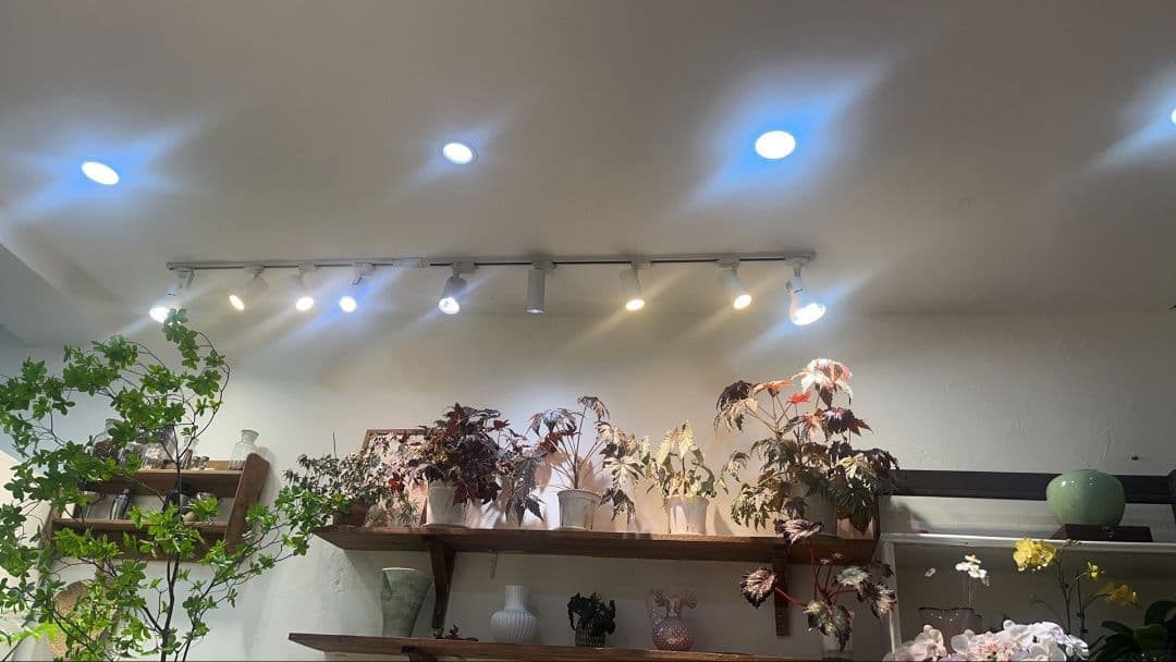 トラック照明 黒いシーリングライト部品 10本