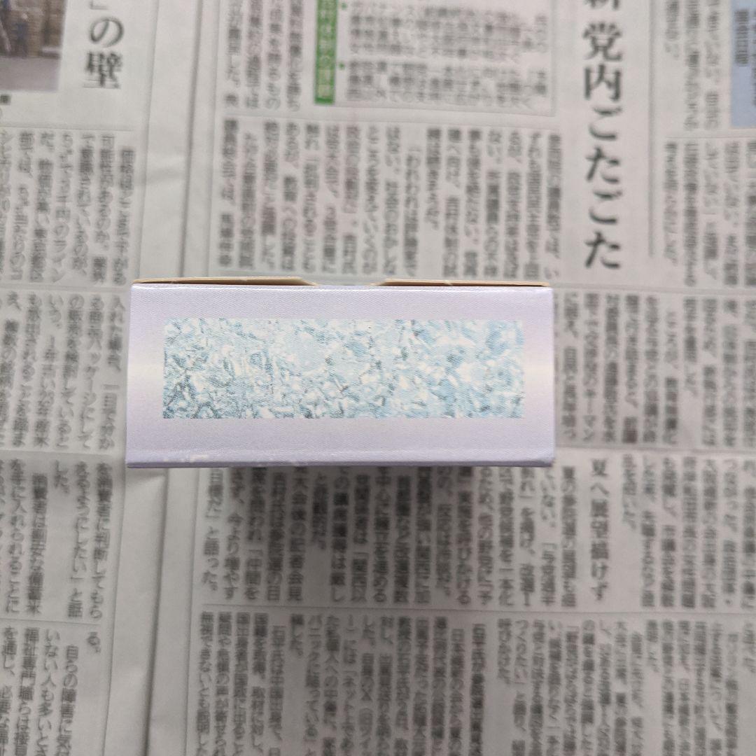 【ジャンク扱い】MTG　アイスエイジ　Ice Age　スターターデッキ ●英語版