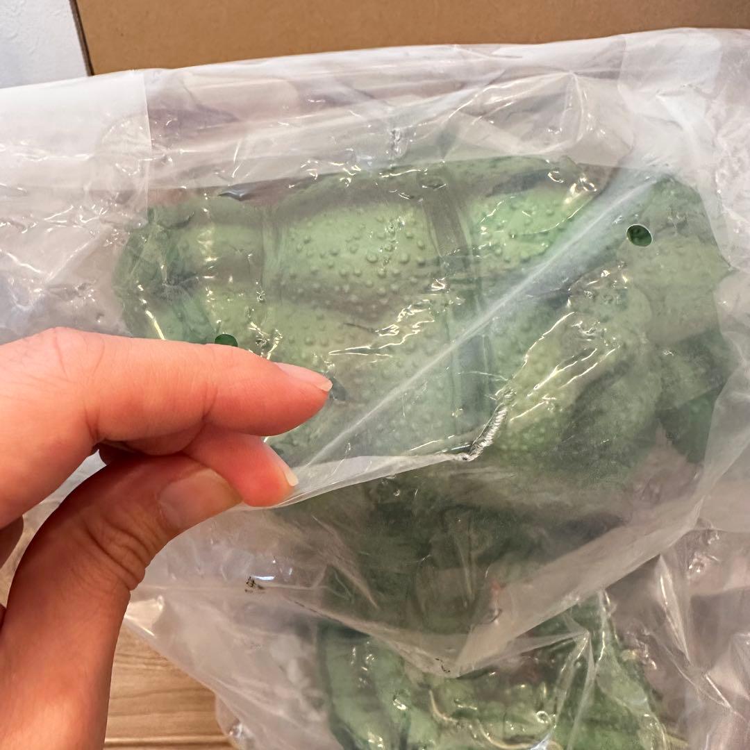 バラ売り受付ます！岩倉造形ラストワン賞フィギュアセット(+デンデ)