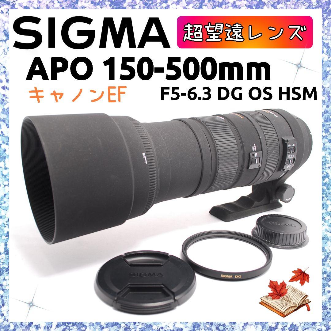 ❤即購入1000円OFF❤ SIGMA 150-500mm DG OS HSM
