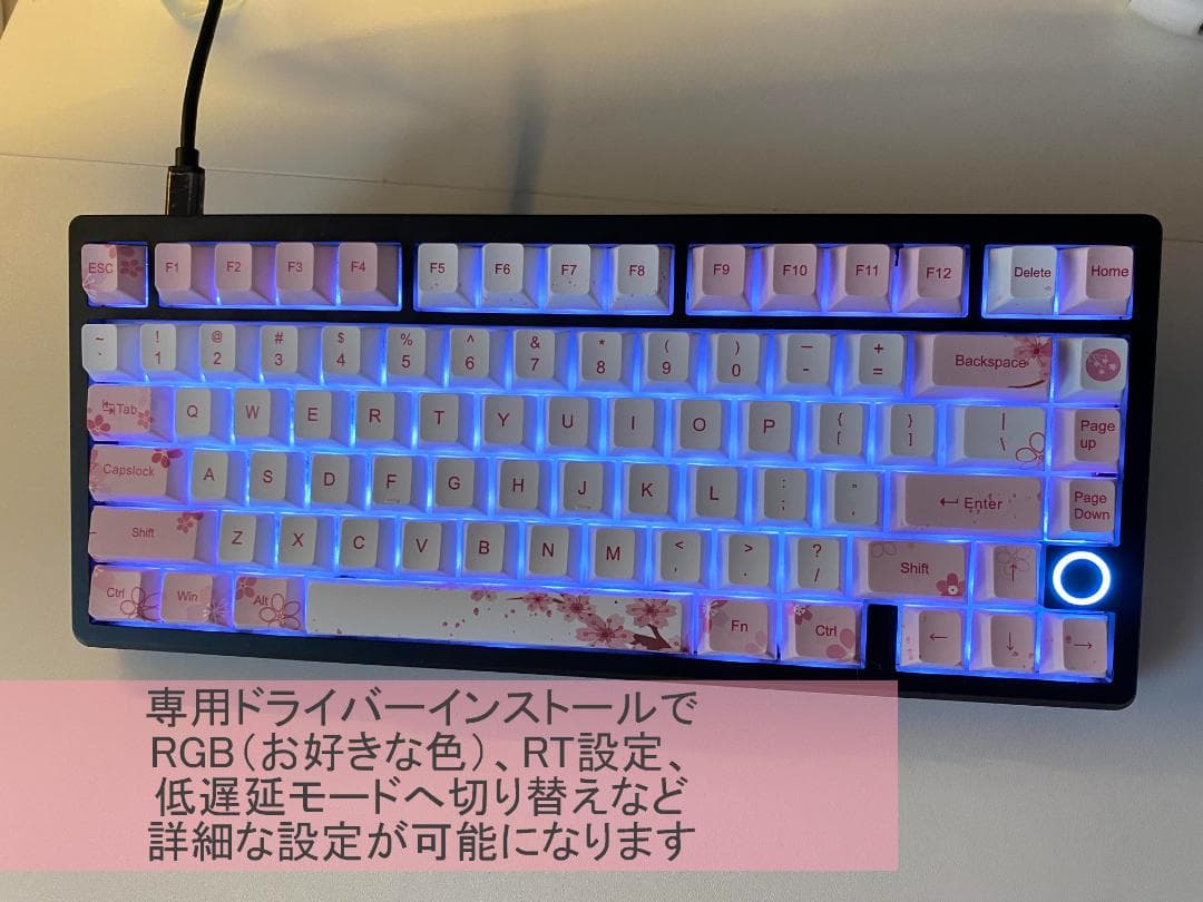 【 日本未発売カラー 】Everglide　SU75　Youth　さくらピンク